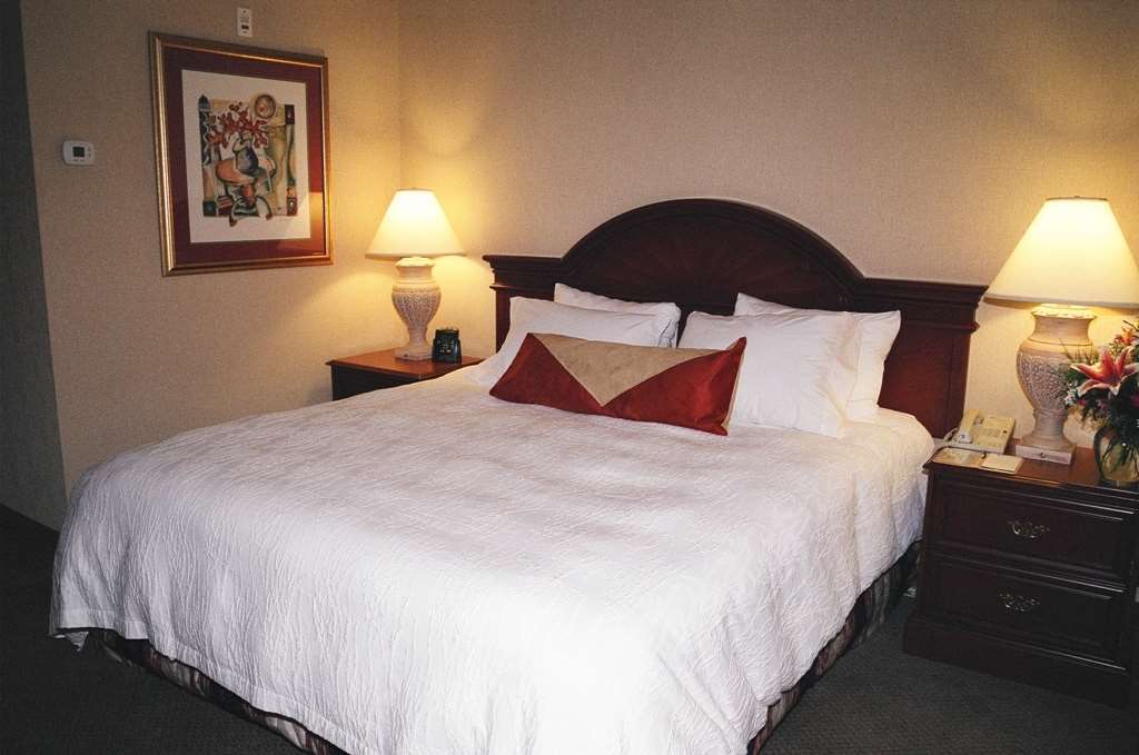 Hilton Garden Inn Kitchener/Cambridge Room photo